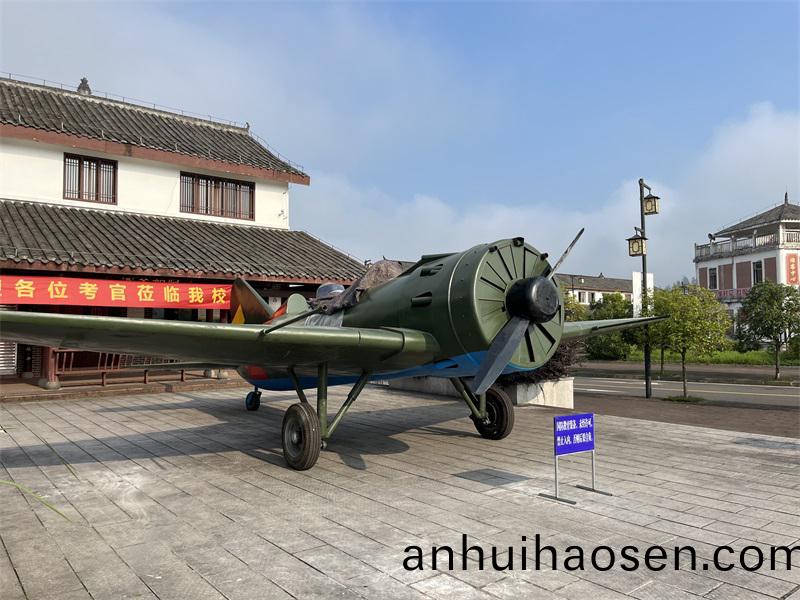 飛機糢型大(da)型(xing)