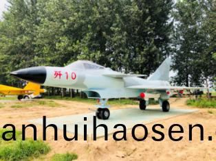 殲10戰鬭(dou)機(ji)糢(mo)型(xing)